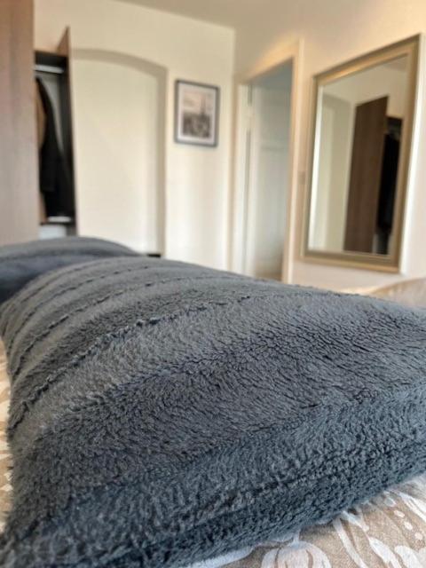 Cosy Rent Strasbourg Orangerie Tv Wifi Cathedrale Apartment Luaran gambar