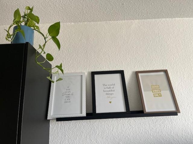 Cosy Rent Strasbourg Orangerie Tv Wifi Cathedrale Apartment Luaran gambar