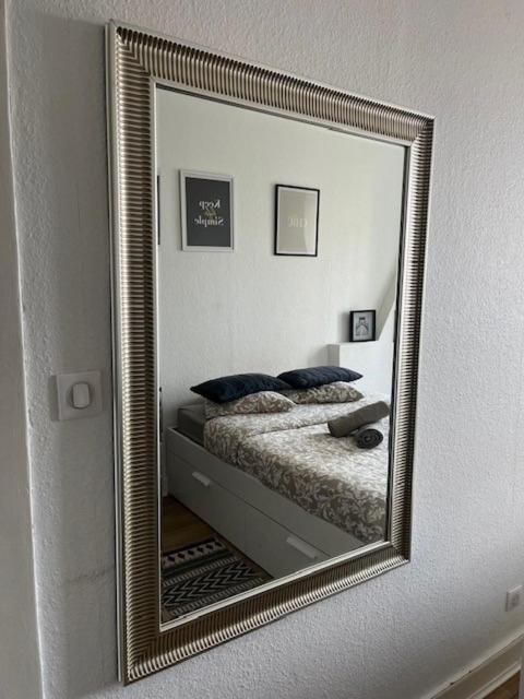 Cosy Rent Strasbourg Orangerie Tv Wifi Cathedrale Apartment Luaran gambar