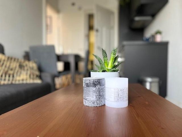 Cosy Rent Strasbourg Orangerie Tv Wifi Cathedrale Apartment Luaran gambar